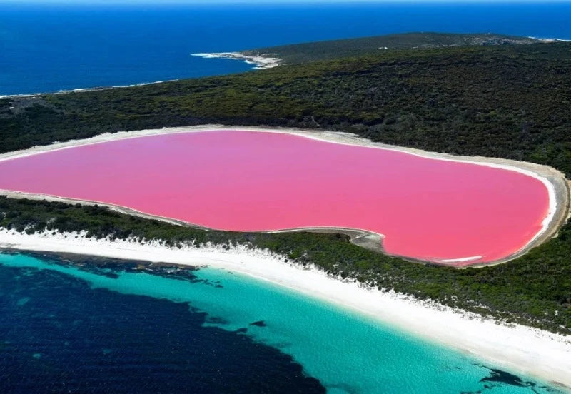 Perth's stunning pink lake scenery